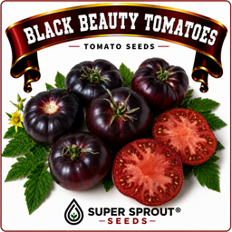 Black tomato combo collection x 6 packs
