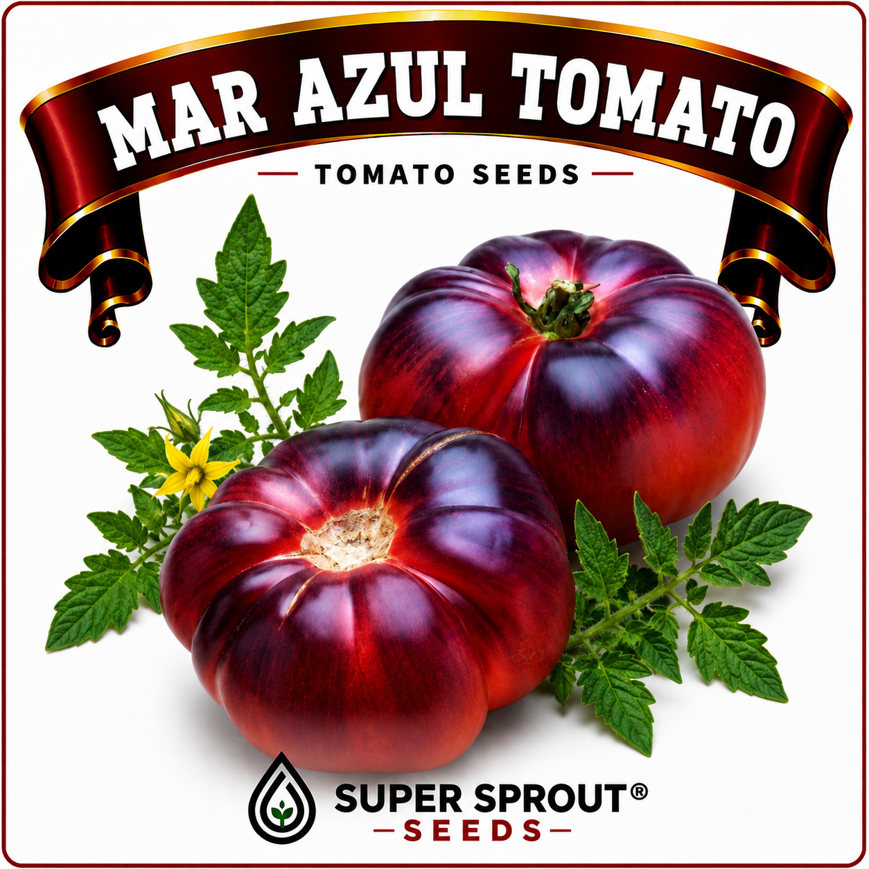 Black tomato combo collection x 6 packs_5