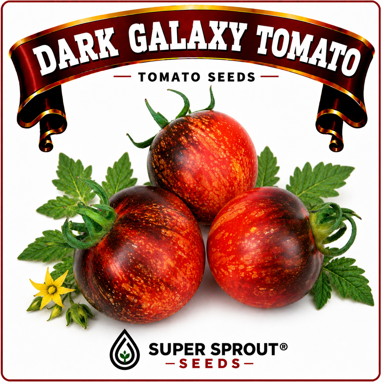 🍅DARK GALAXY TOMATOES🍅 x 15+ seeds