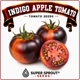 Indigo tomato combo pack x 7 packs 10 seeds.