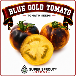 Indigo tomato combo pack x 7 packs 10 seeds.