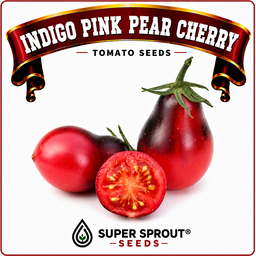 Indigo tomato combo pack x 7 packs 10 seeds.