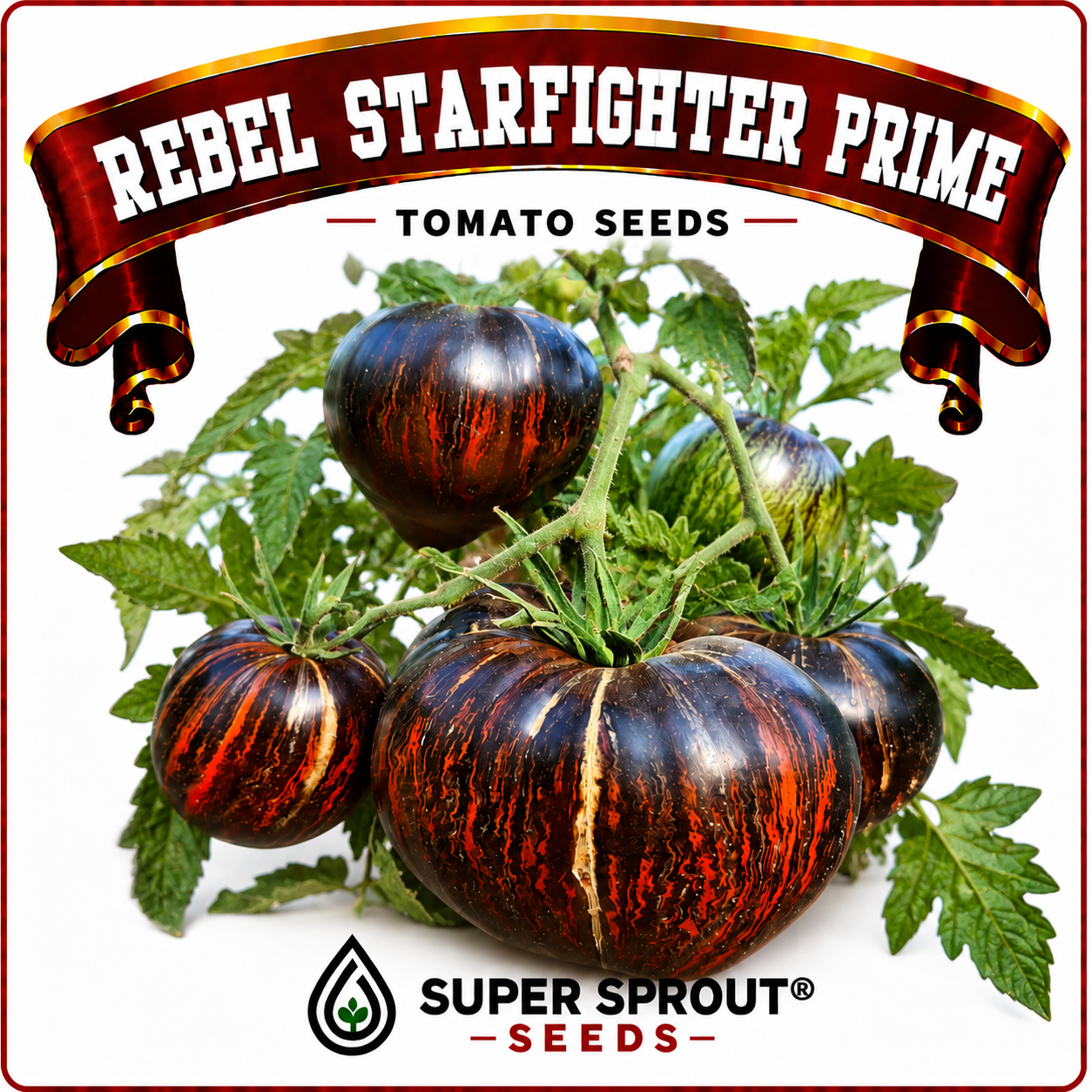 🍅REBEL STARFIGHTER PRIME TOMATO🍅 x 10 organic seeds_1