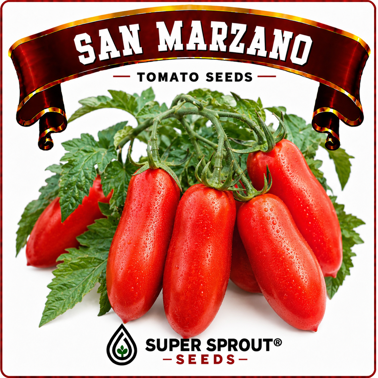 San Marzano paste tomato x 10 seeds