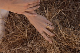 The Abby Ring
