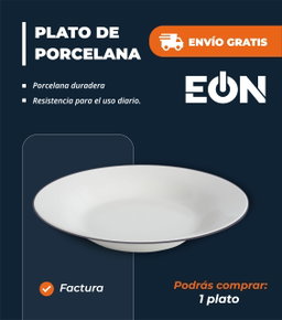 *🔹Platos de Porcelana con Linea, una Unidad*- Factura