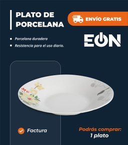 *🔹Platos de Porcelana Floreado, una Unidad*- Factura