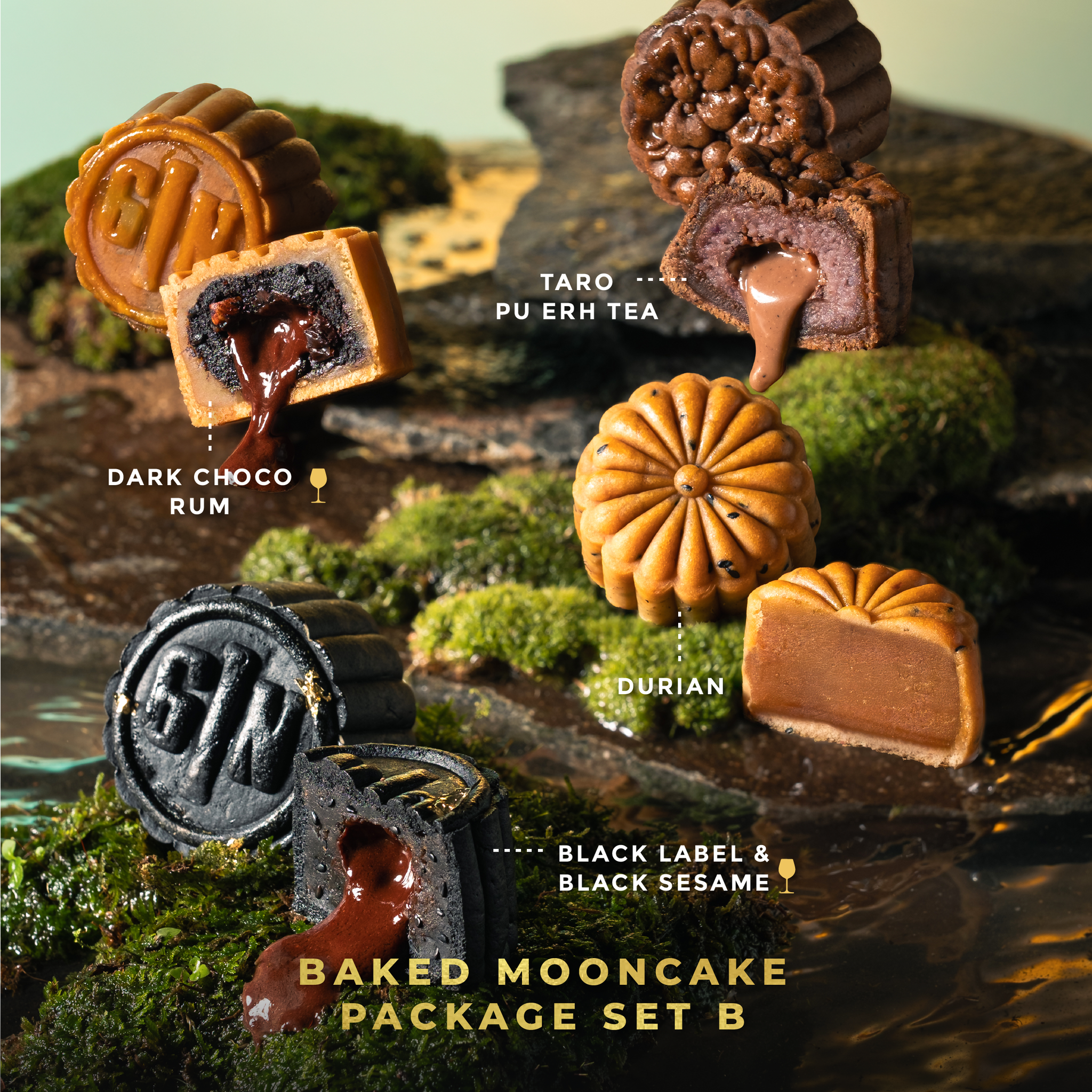 Mooncake - Package_10