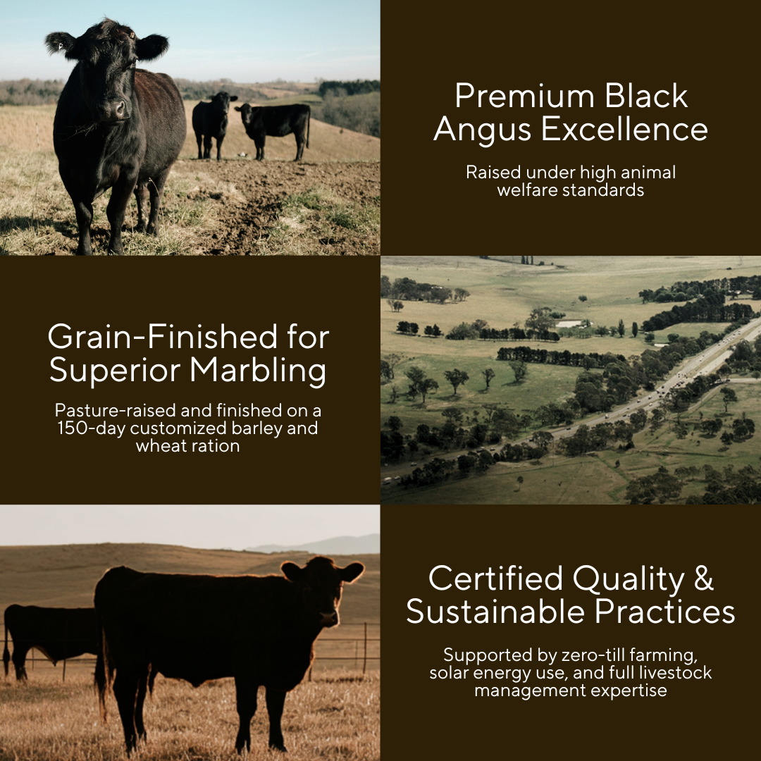 Be-Bold Black Angus Aust Beef Rump Cap 250g_1