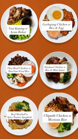 1 Month Fit (40 Meals Weekly Delivery) 