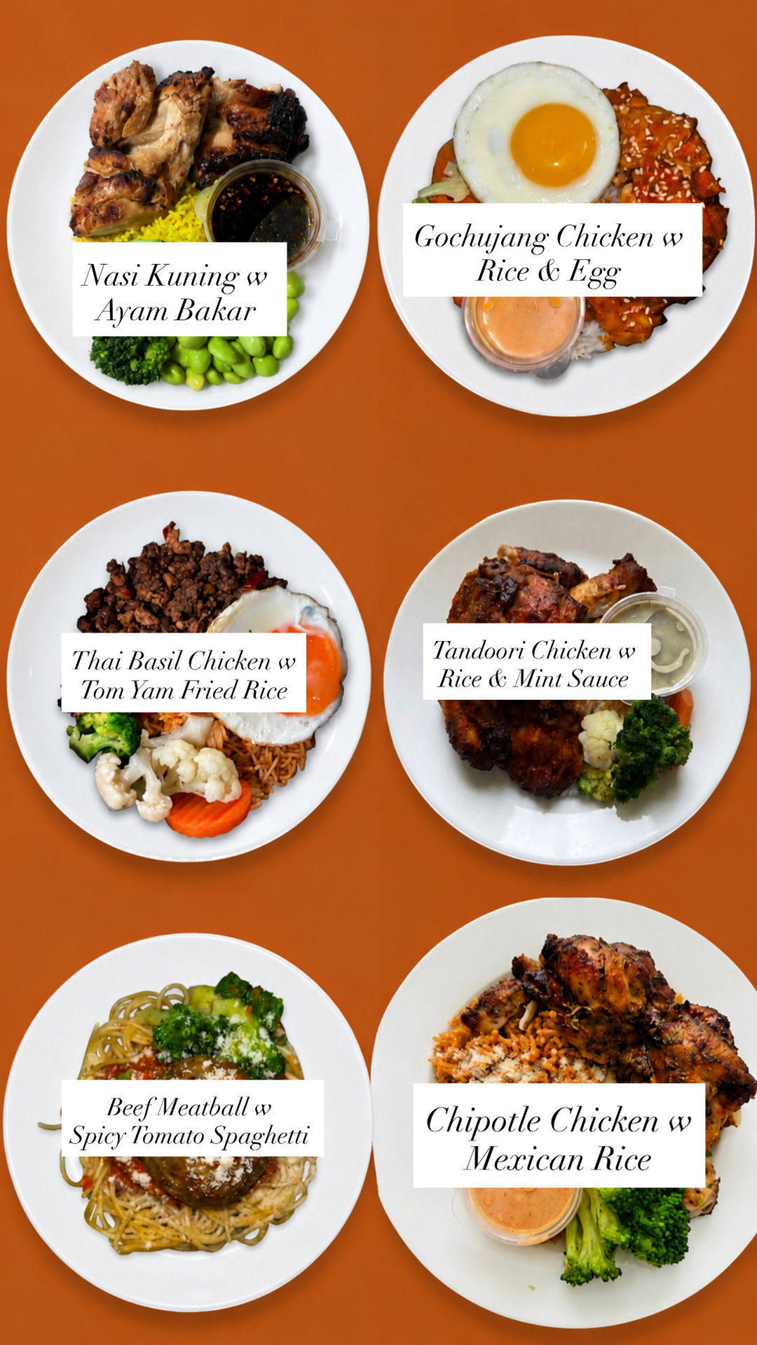 1 Week Fit (10 Meals) 