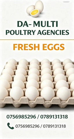 Local chicken eggs