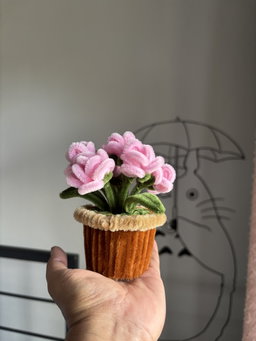 Miniature Roses flower pot