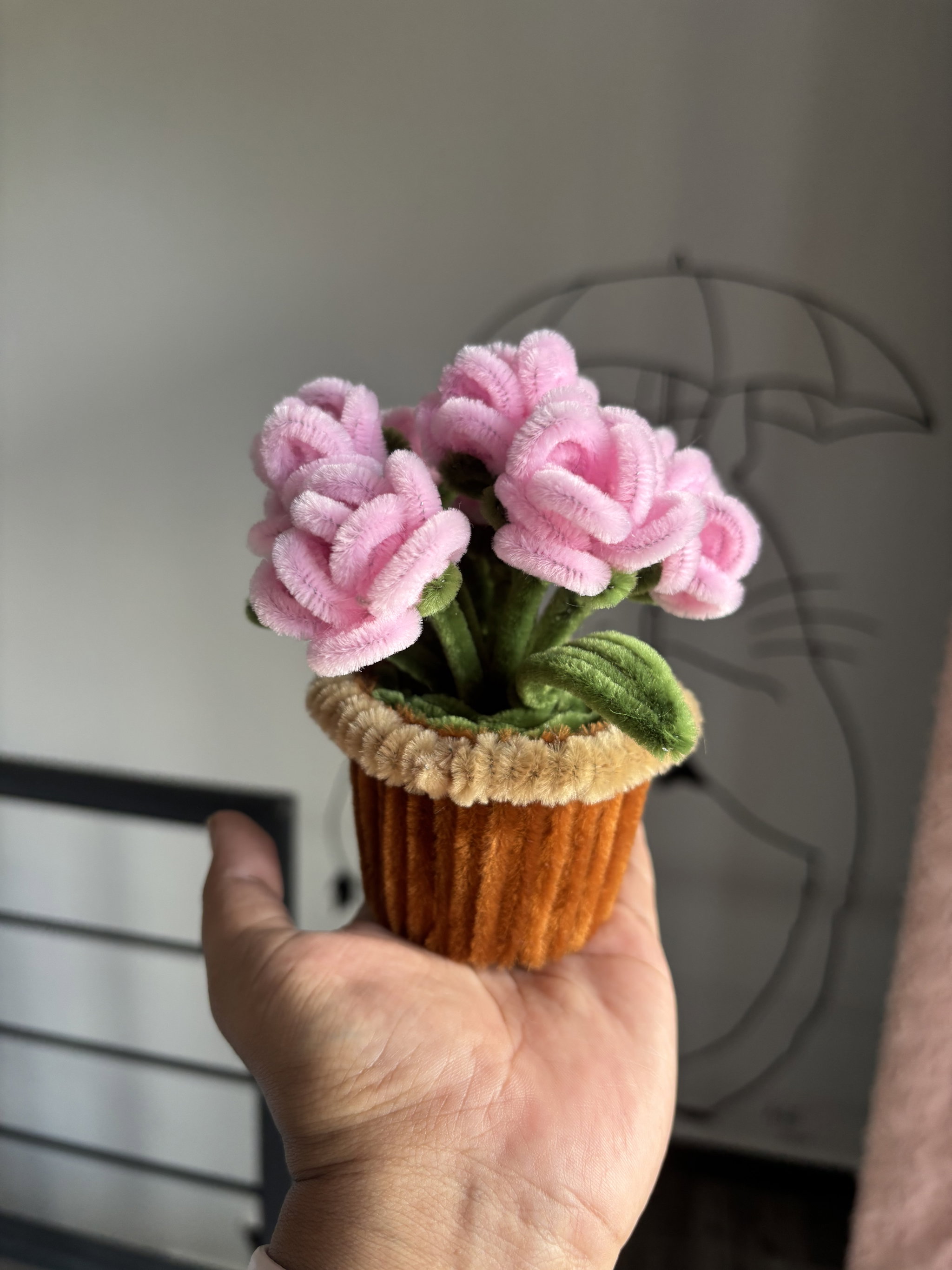 Miniature Roses flower pot_3