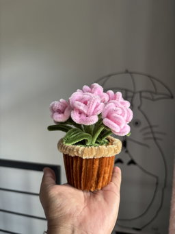 Miniature Roses flower pot