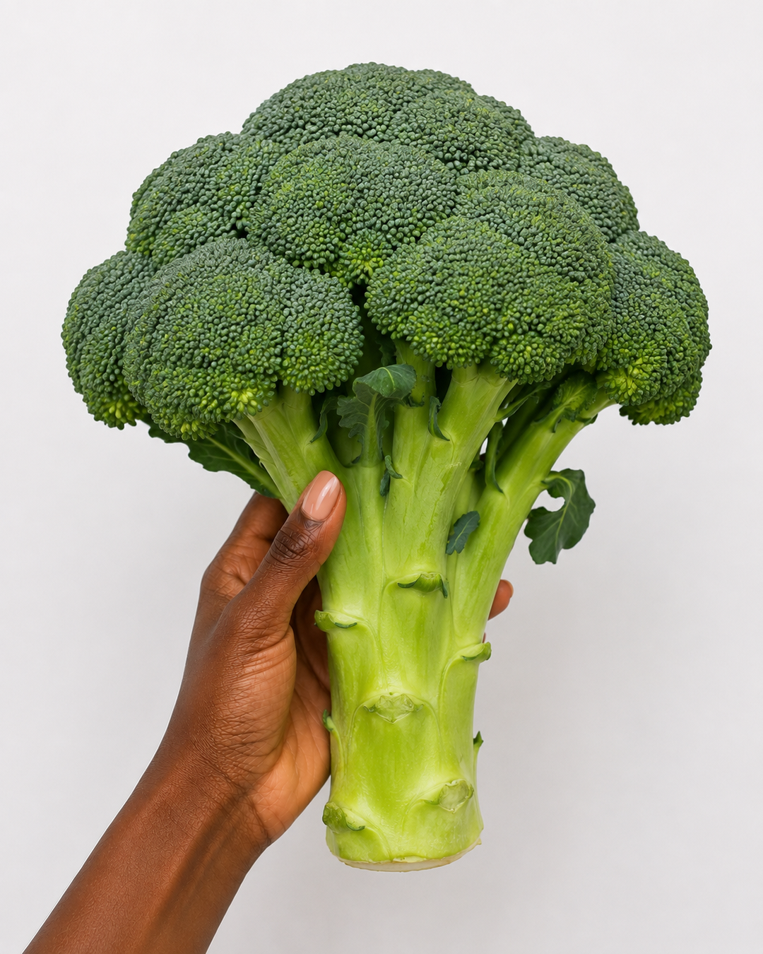 Imported Broccoli X 1head