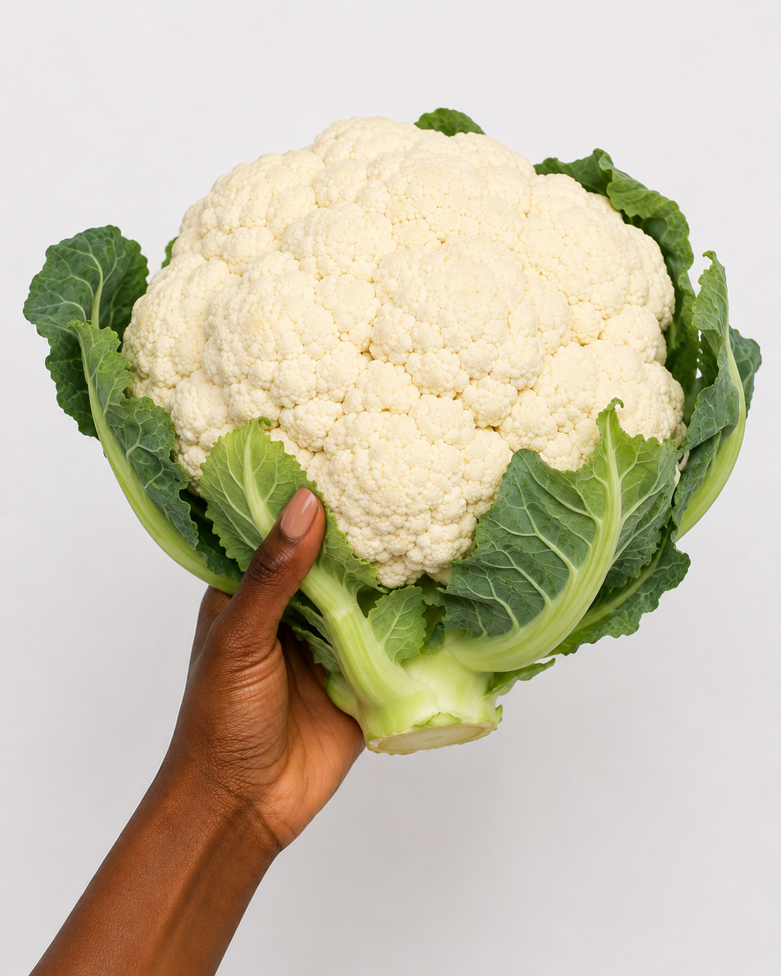 Imported Cauliflower X 1_0