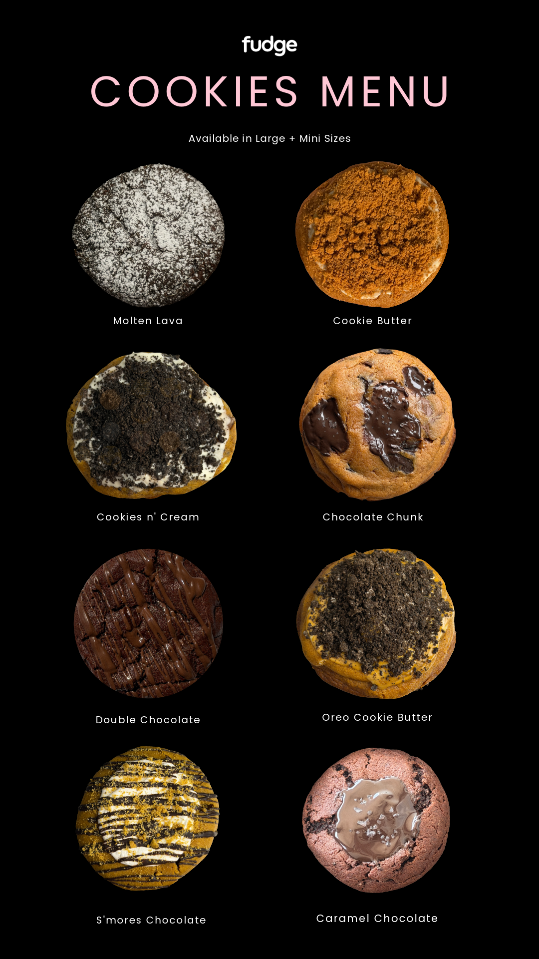 Fudge Big Cookies