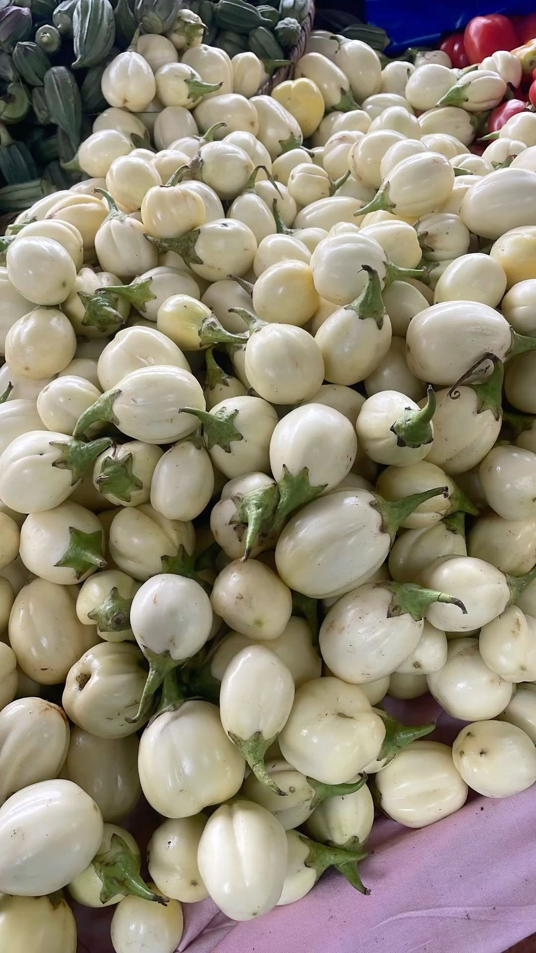 Garden Eggs