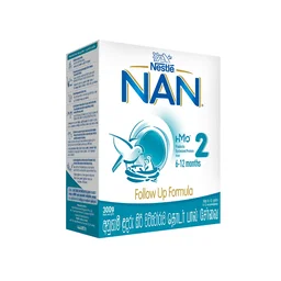 NAN 2 300G 