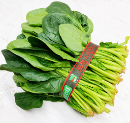Korean Spinach ほうれん草 시금치(포항초)
