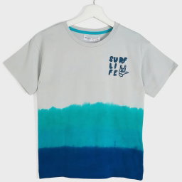Minoti Boys T-Shirt | Blue With Print 