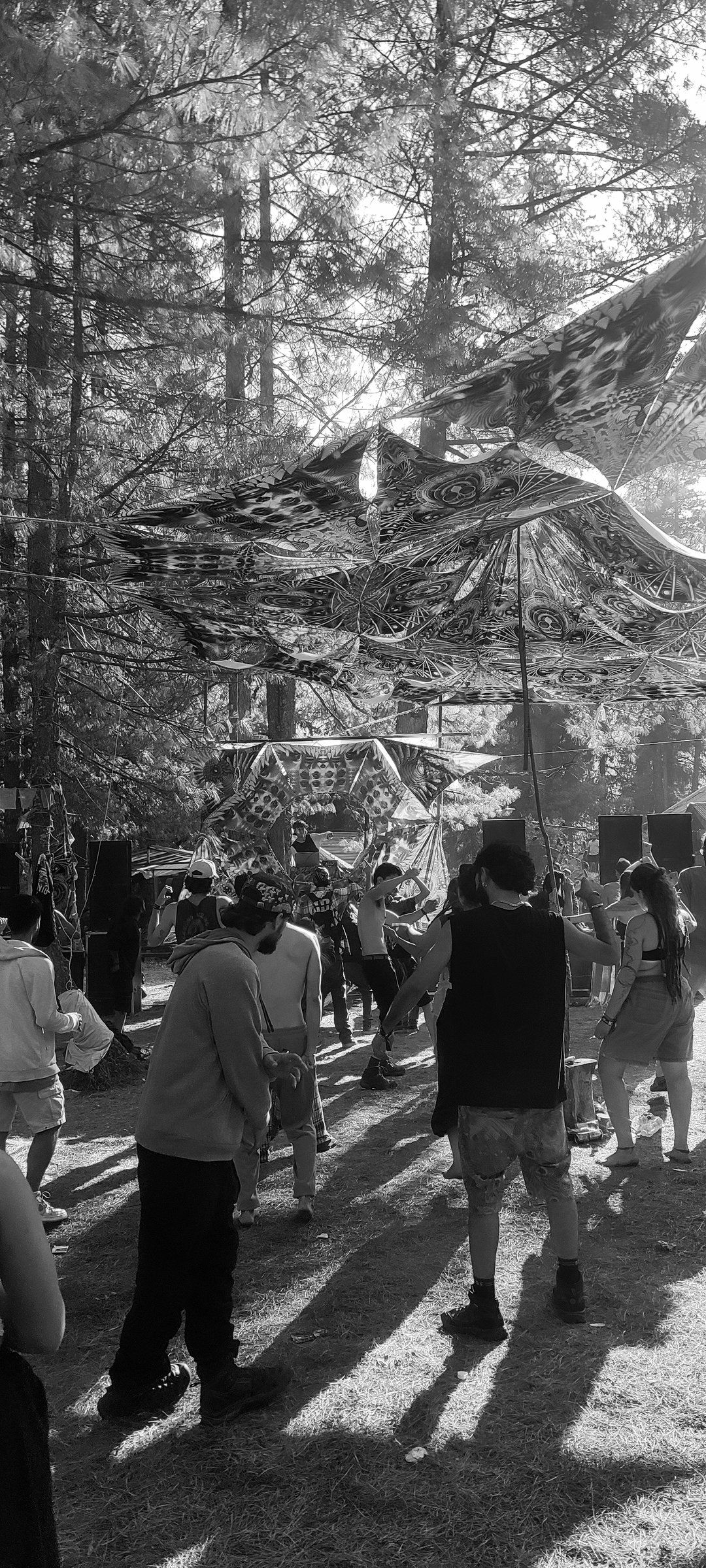Vibe of the Day: Live Acoustics, Tech Mixers & Community Nights | Rishikesh