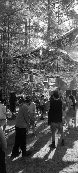 Vibe of the Day: Live Acoustics, Tech Mixers & Community Nights | Rishikesh