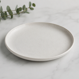 Ordinary Ceramic Plate