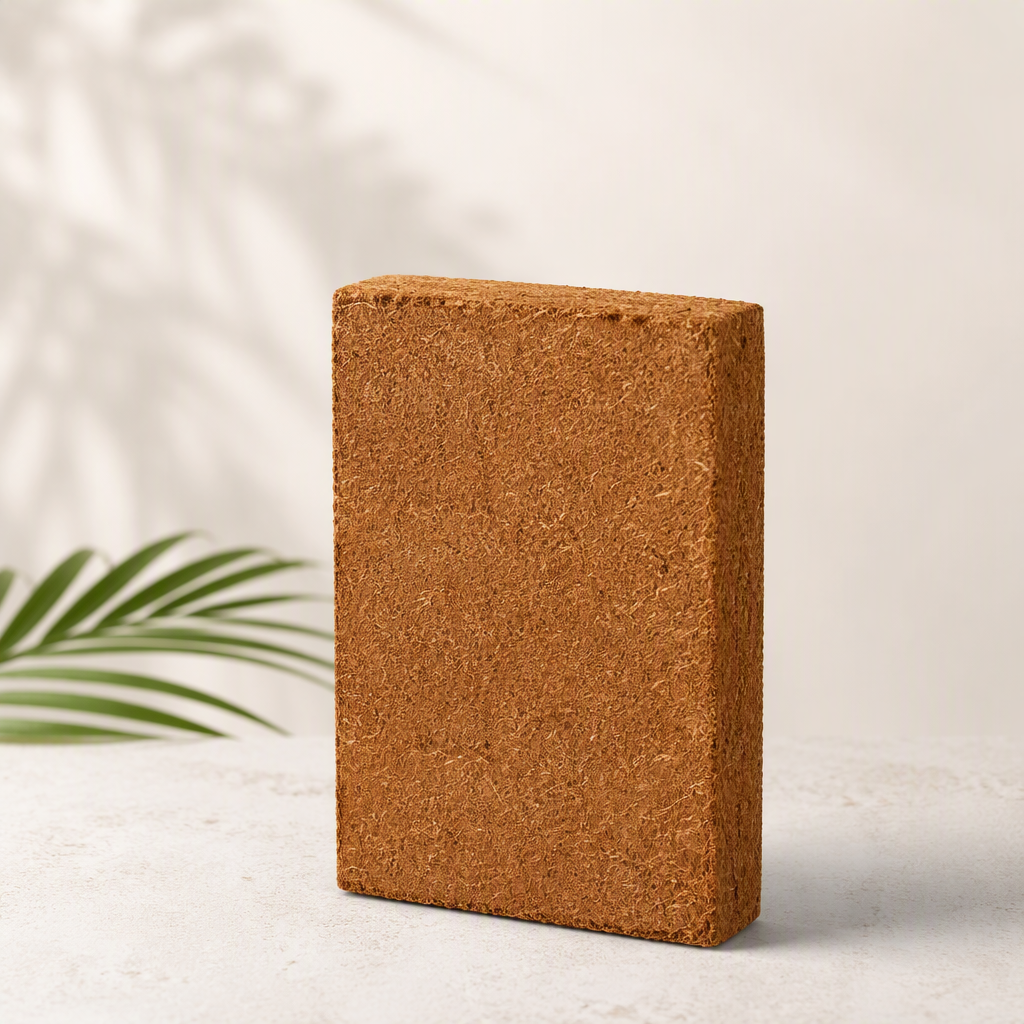 Cocosir Brown