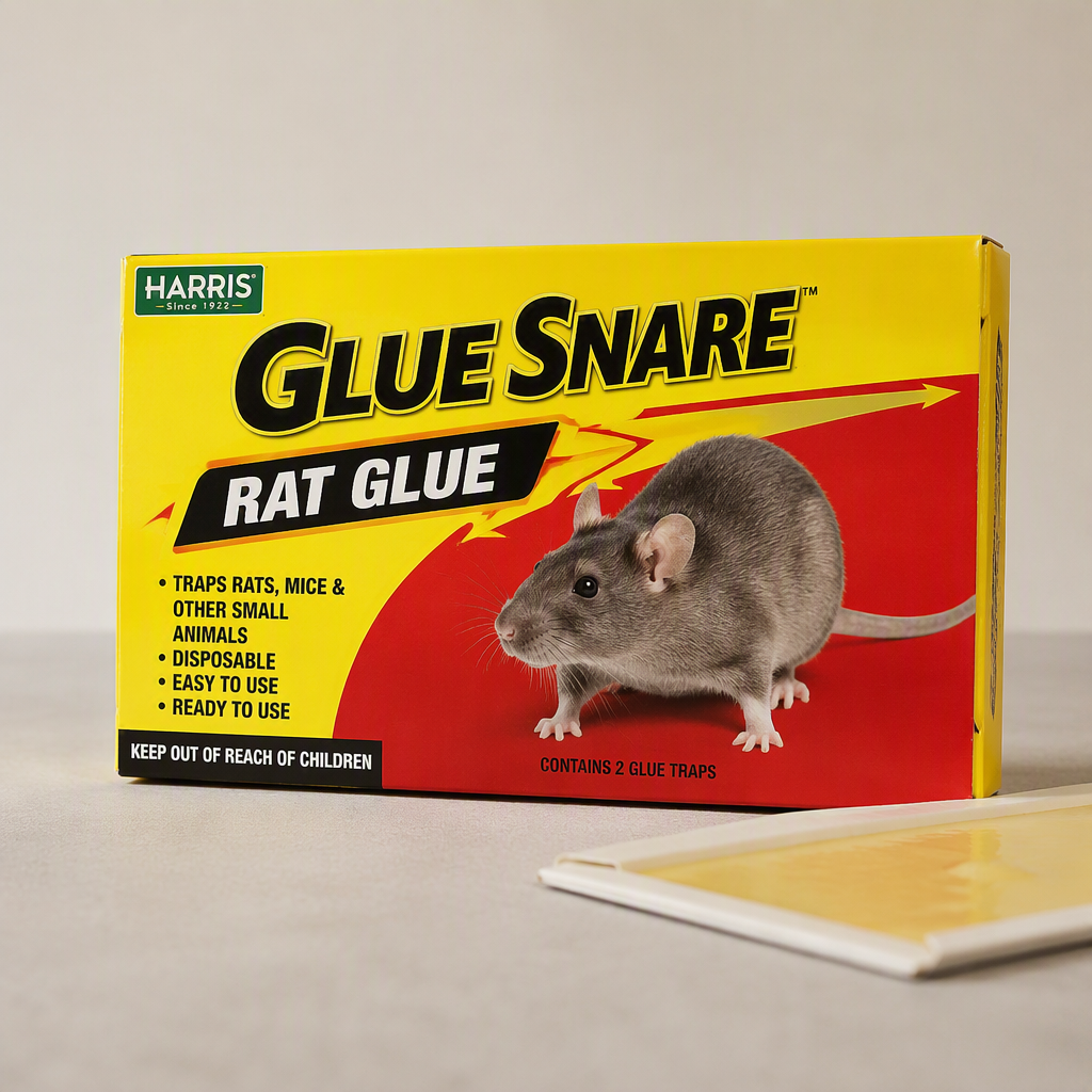 Glue Snare Rat Glue
