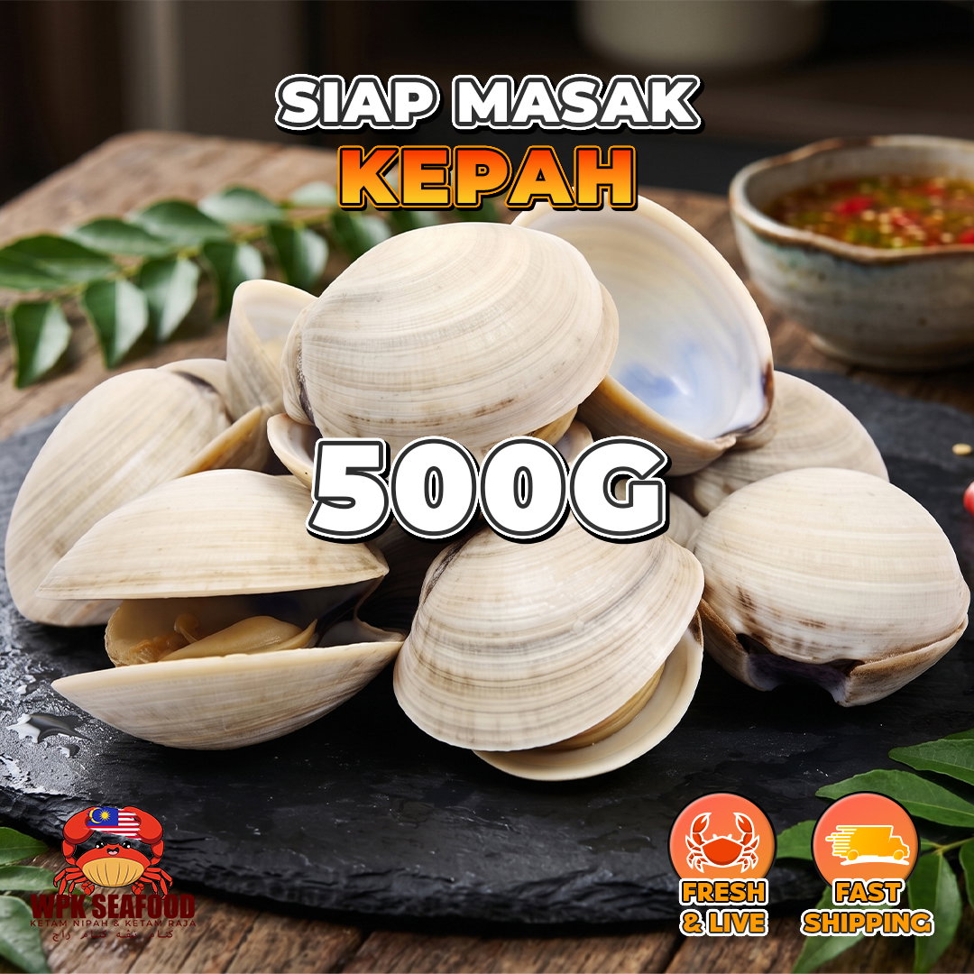 Kepah LALA_3