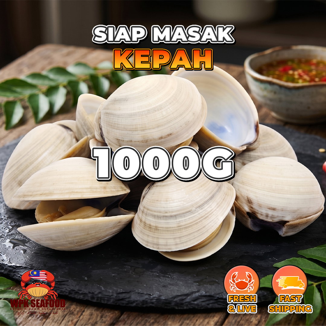 Kepah LALA_4