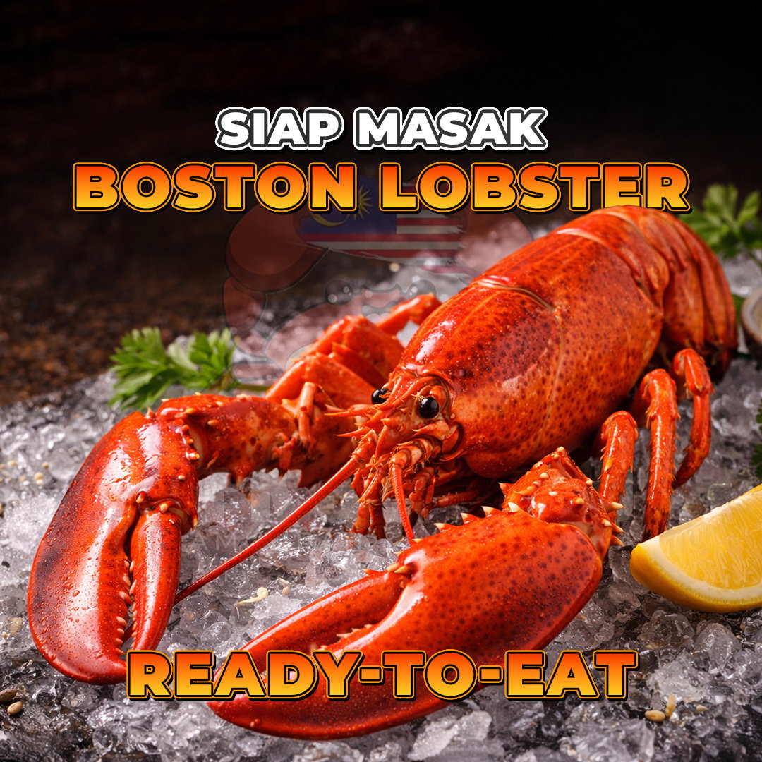 Boston Lobster_0