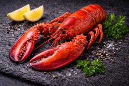 Boston Lobster