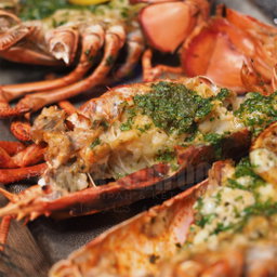 Boston Lobster