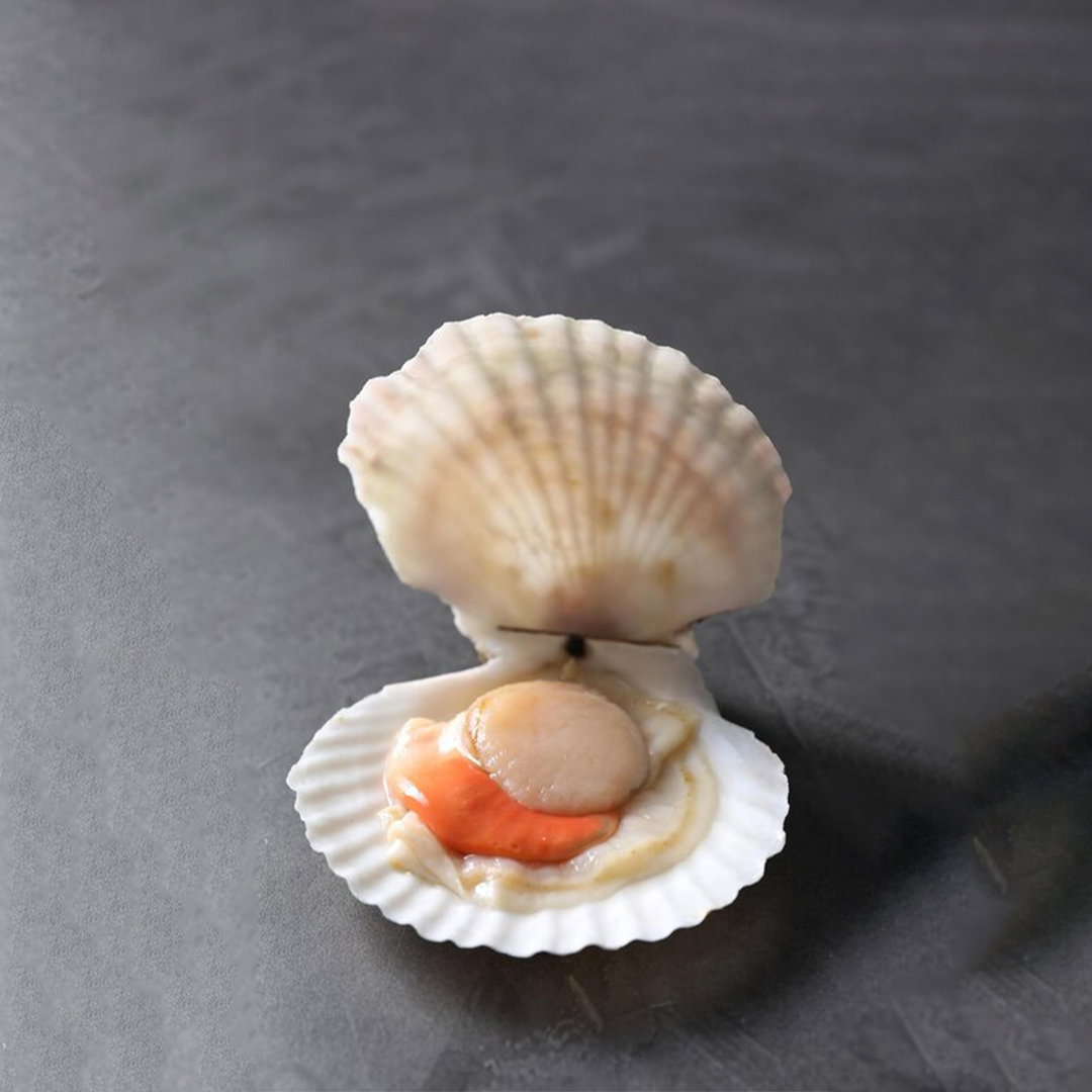 Sea Scallops XXL Size_1
