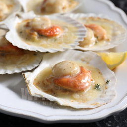Sea Scallops XXL Size