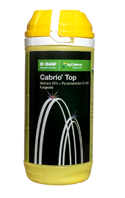 Cabrio Top - Metiram 55% + Pyraclostrobin 5% WG