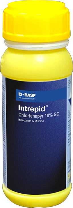 Intrapid - Chlorfenapyr 10% SC