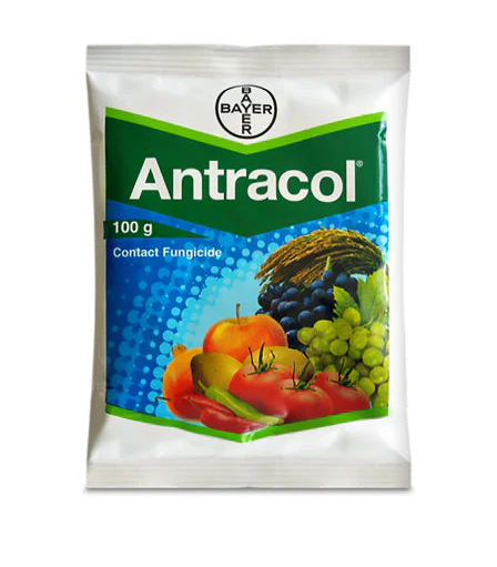 Antracol - Propineb 70% WP (Polymeric zinc-containing dithiocarbamate)