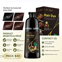 4 in 1 Dye & Shampoo