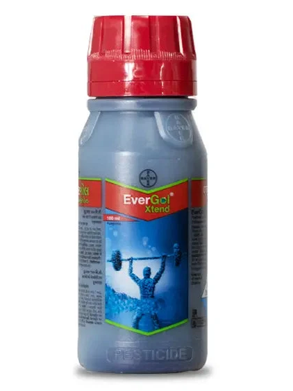 EverGol Xtend - Penflufen 13.28% + Trifloxystrobin 13.28% FS