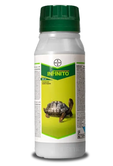 Infinito - Fluopicolide 5.56% w/w + Propamocarb Hydrochloride 55.6% w/w SC_0