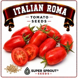 🍅ITALIAN ROMA PLUM TOMATO🍅 x 10 seeds 