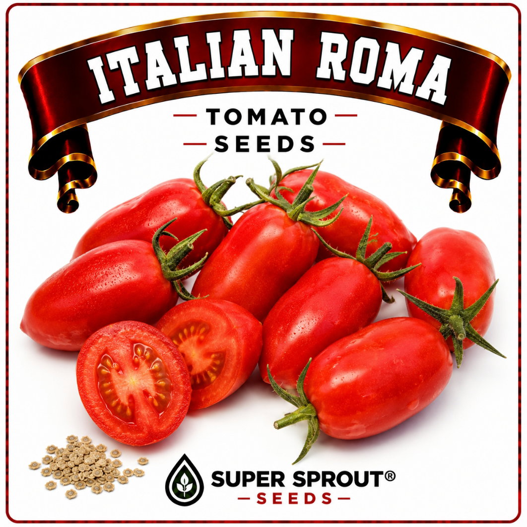 🍅ITALIAN ROMA PLUM TOMATO🍅 x 10 seeds _1