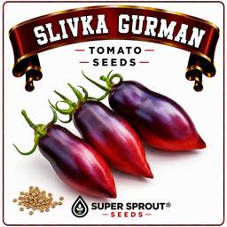 🍅SLIVKA GURMAN TOMATO🍅 x 10 seeds