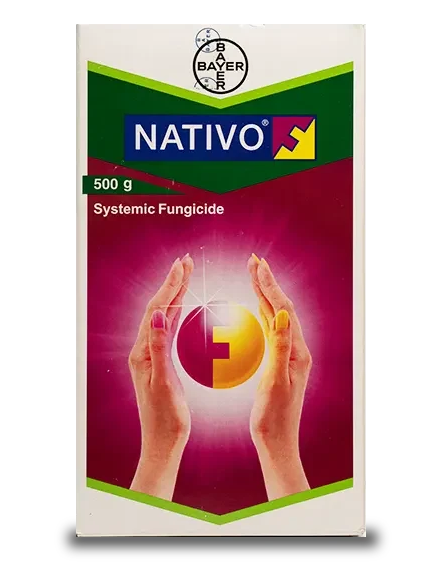 Nativo - Tebuconazole 50% + Trifloxystrobin 25% WG_0