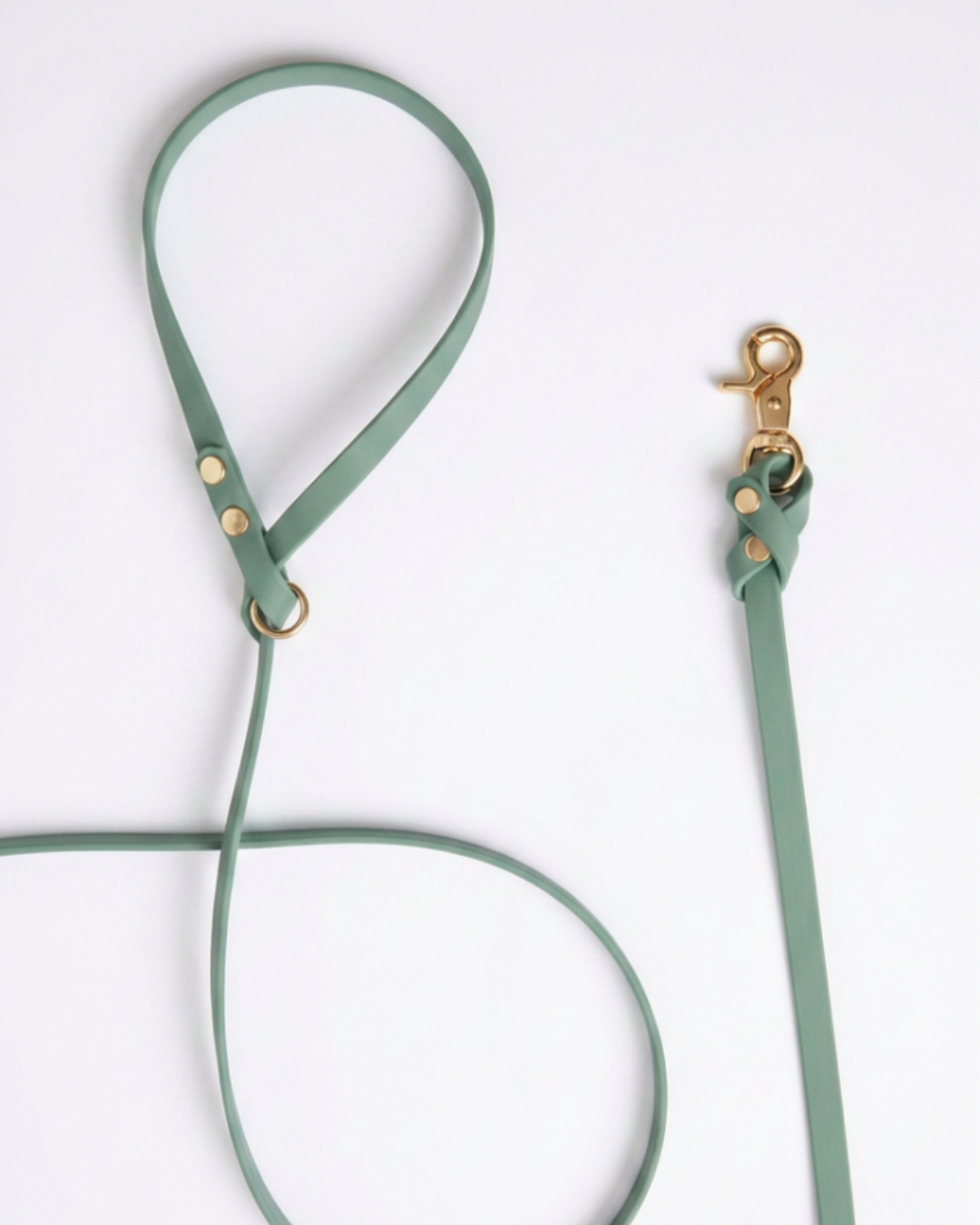 Biothane Leash_18