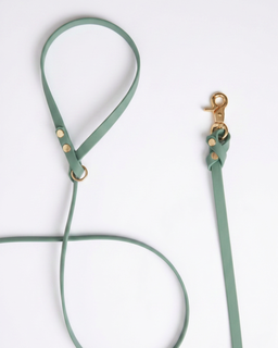 Biothane Leash